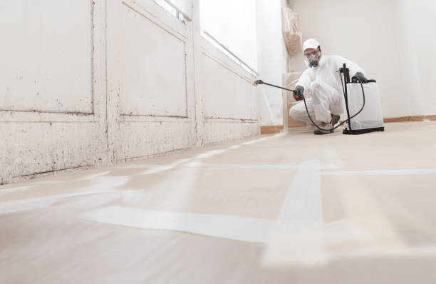 24/7 Emergency Mold Remediation experts in Florence, OR